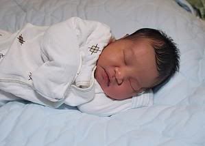 Dwayne Steele