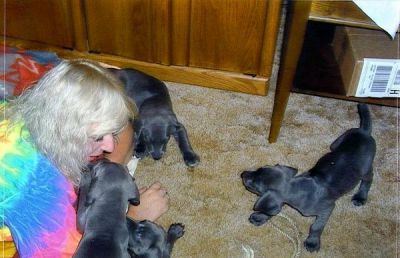 Tamie Wells