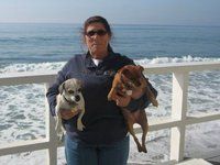Corinne Pearlman