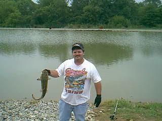 David Schaffer