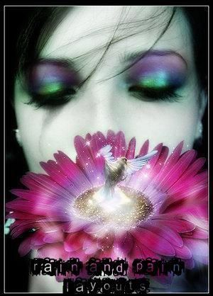 Dale Warmuth