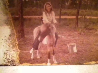 Vickie Reed