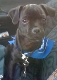 Leroy Douglas