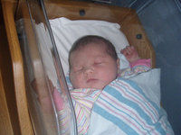 Holley Miller