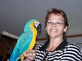 Sherry Hernandez