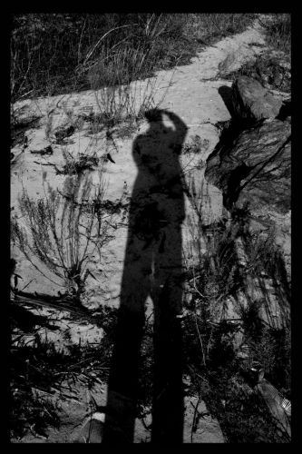 Michael Dillon