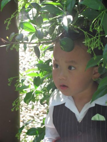 Pa Xiong