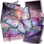Donna Gelico