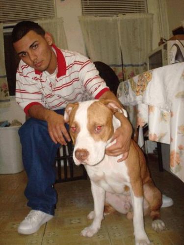 Bryan Jimenez