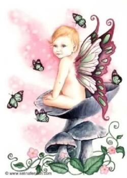 Jennifer Negron