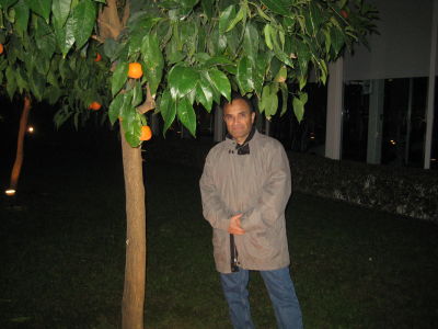 Tony Saberian