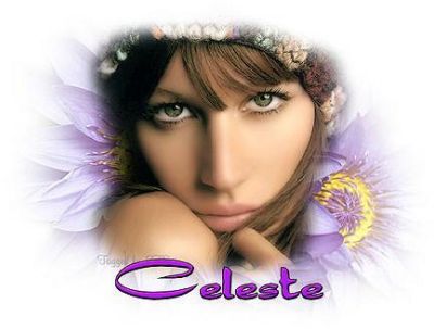 Celeste Stegall