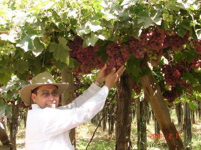 Henry Chavez