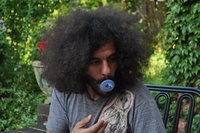 Adam Baruchowitz