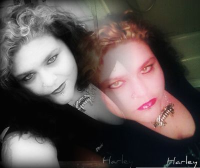 Stephanie Husband