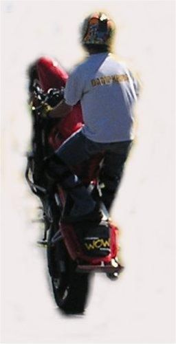 Michael Pucciarelli