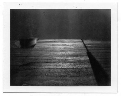 Scott Scales