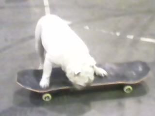 Nathan Hulsebusch