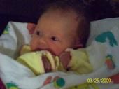 Brandy Emmendorfer