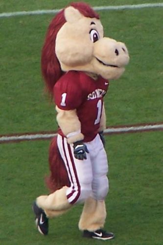 Jeffery Rocha