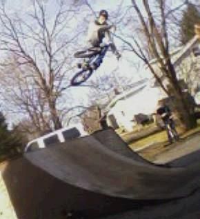 Kyle Dalton