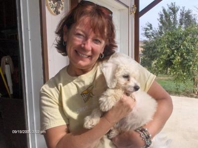 Cheryl Micetich