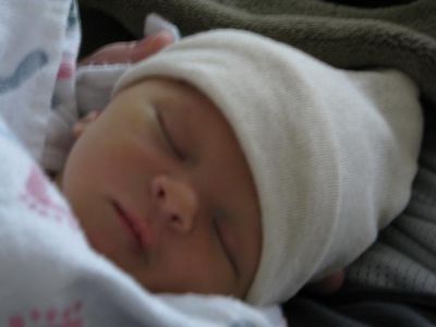 Lynnette Longa