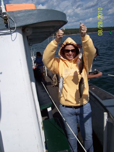 Denise Travis