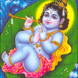 Nikhil Kumar