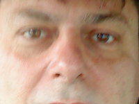 Vito Dellenoci