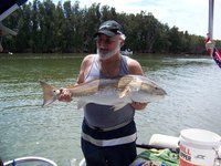 Larry Anhalt