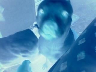 Brandon Staggers