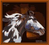 Dawn Ullrich
