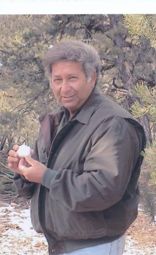 Ronald Dinnocenzo
