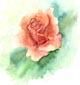 Roseanne James