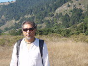 Arman Shirvani