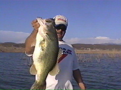 Donald Whitlow