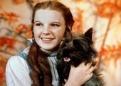 Dorothy Rohde
