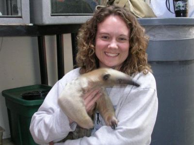 Michelle Diener