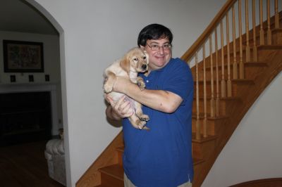 Andrew Wallenstein