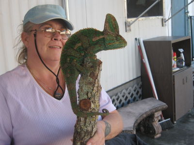 Anita Docksteader