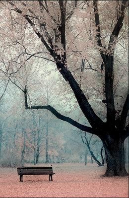 Shazia Sayeed