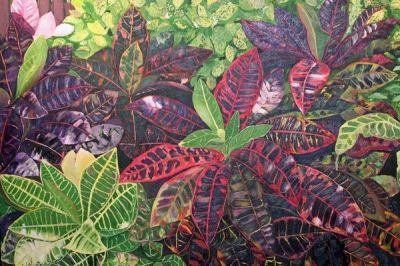 Steven Fleit