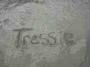 Tressie Gray