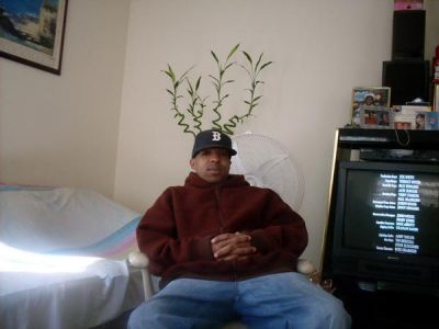 Michael Perryman