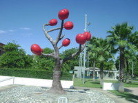 Andrea Malave