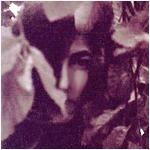 Donna Amatore