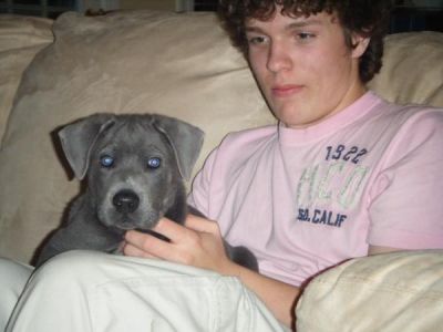 Zane Stearns