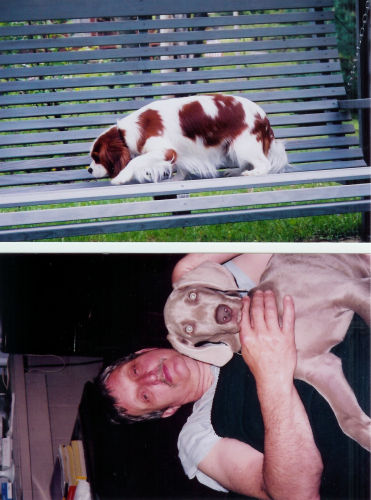Larry Miller