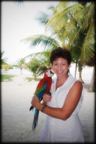 Laurie Comeau